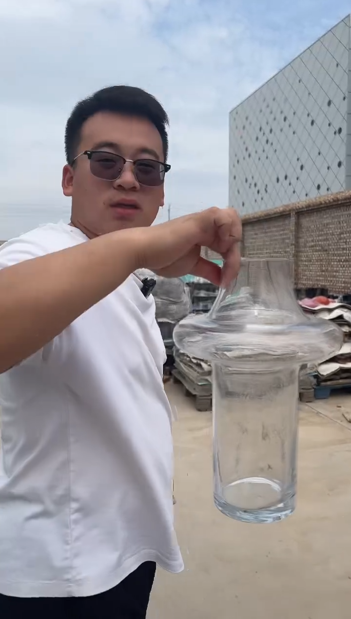 玻璃花瓶用于客厅桌面插花装饰