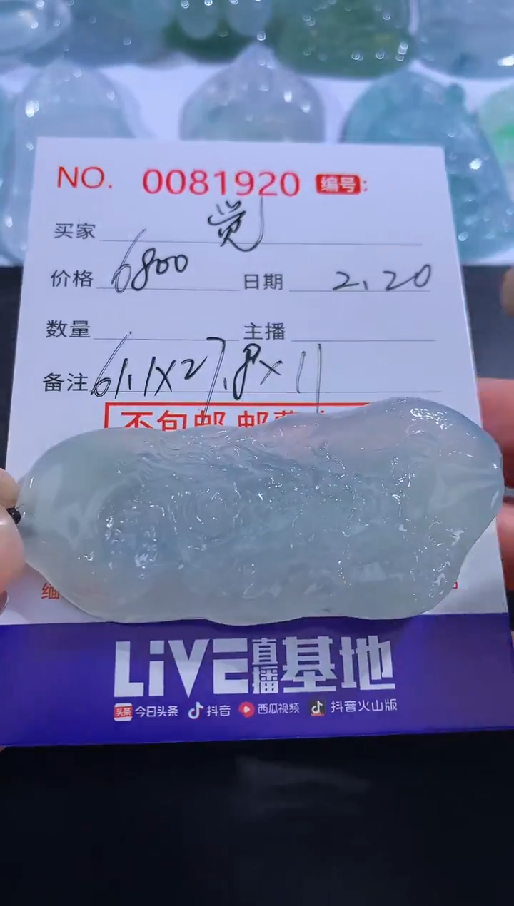 【闪购商品】翡翠颈饰未镶嵌觉