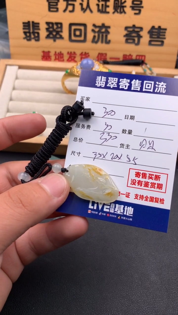 翡翠未镶嵌颈饰10141931