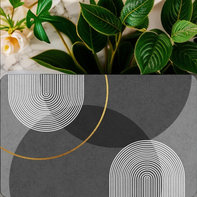 F022【100*160】入户玄关客厅防滑免洗耐脏家用硅藻泥地垫地毯