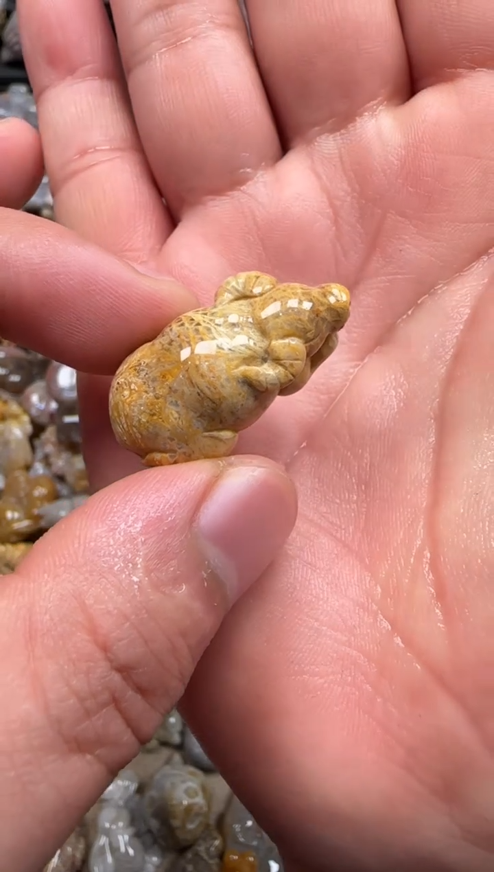 【闪购商品】硅化珊瑚（珊瑚玉）颈饰未镶嵌067