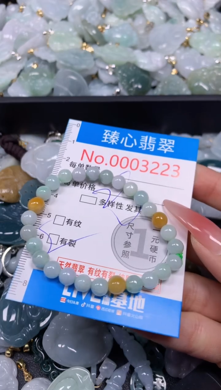 【闪购商品】翡翠颈饰未镶嵌含绳0003223