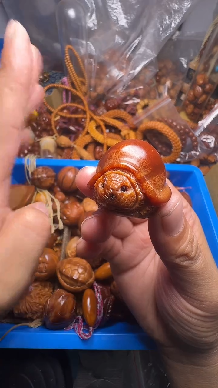 手串橄榄核帝王龟一对