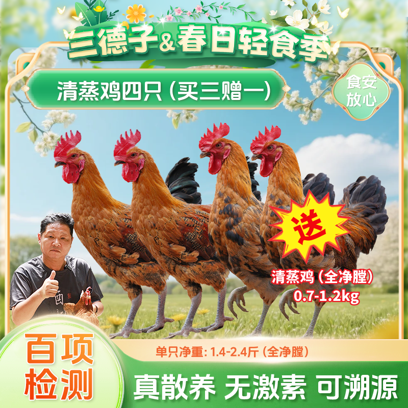 三德子【清蒸鸡4只】农村正宗散养土鸡可溯源新鲜清蒸白切顺丰包邮商品图