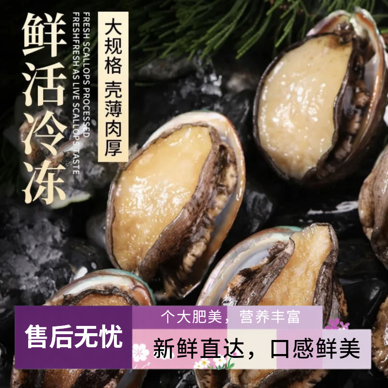 深海活冻鲍鱼肉质饱满带壳整只鲜冻大头鲍鱼
