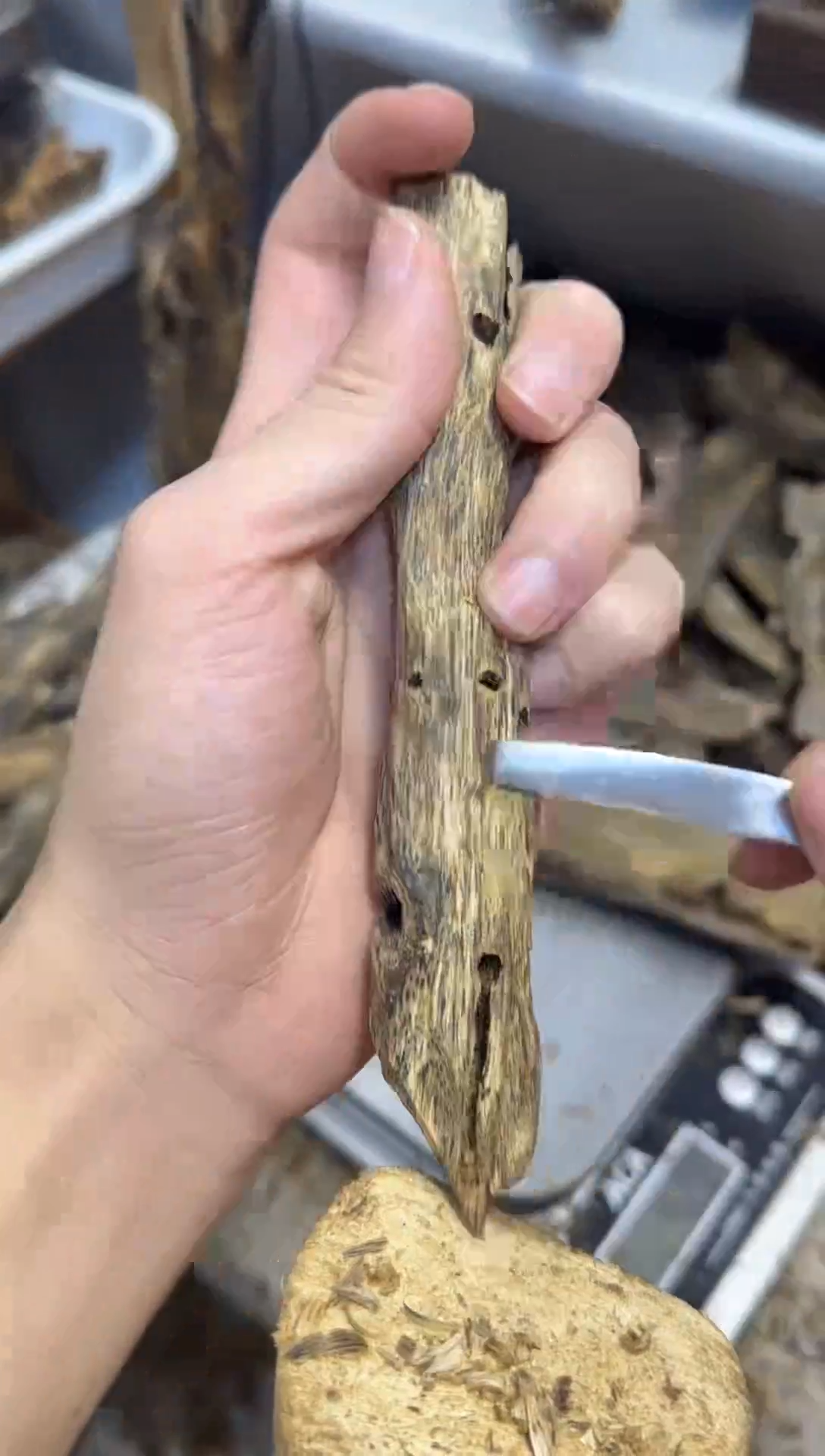 沉香沉香碎屑金丝油张勺子