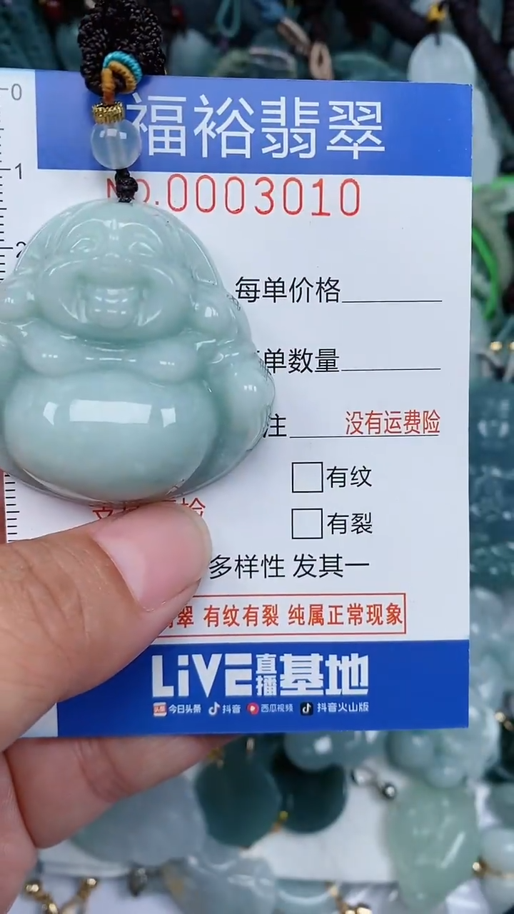 翡翠未镶嵌颈饰...0003010