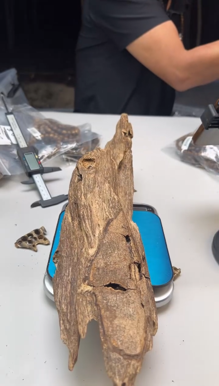 【闪购商品】沉香摆件海南沉香虫漏摆件多样性发一