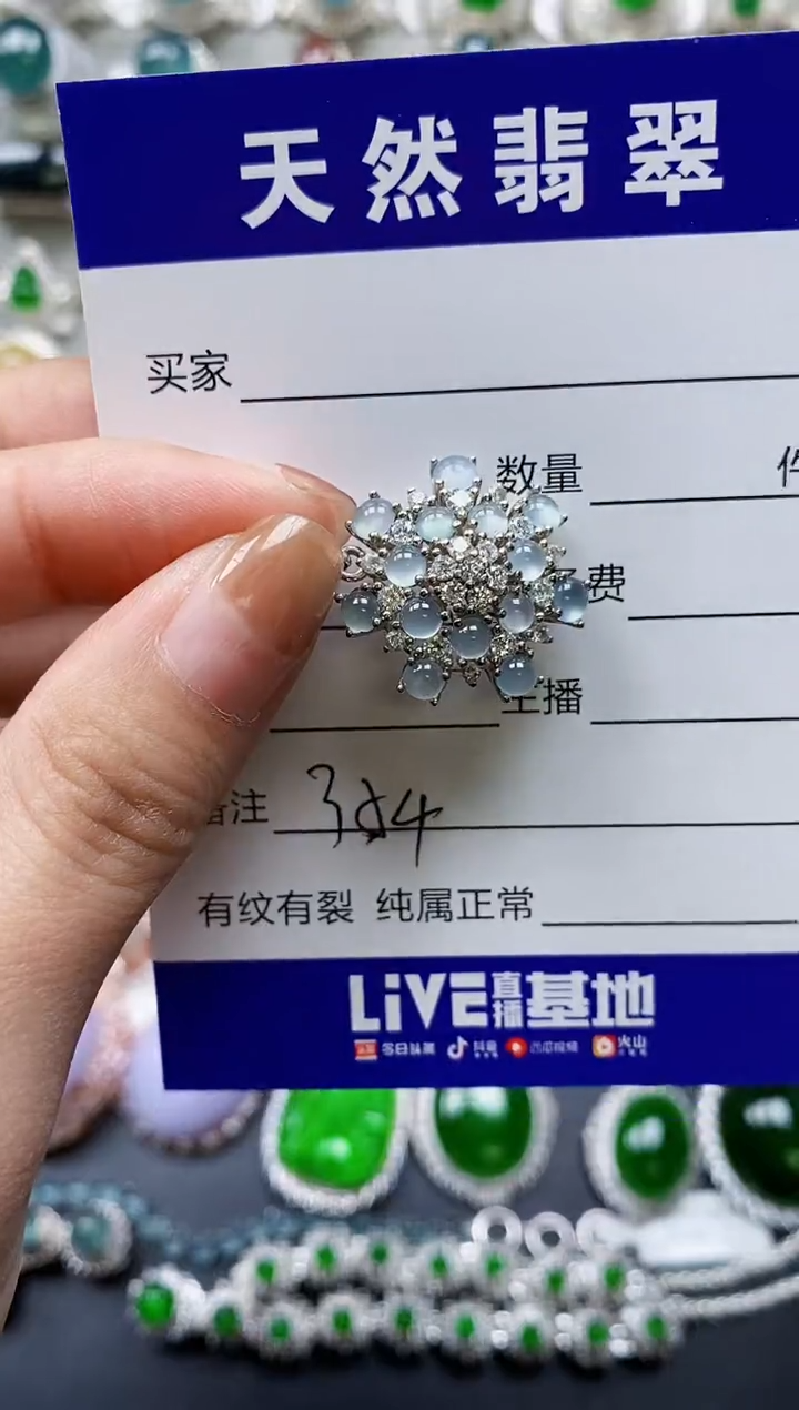 【闪购商品】翡翠颈饰银S925镶嵌0254