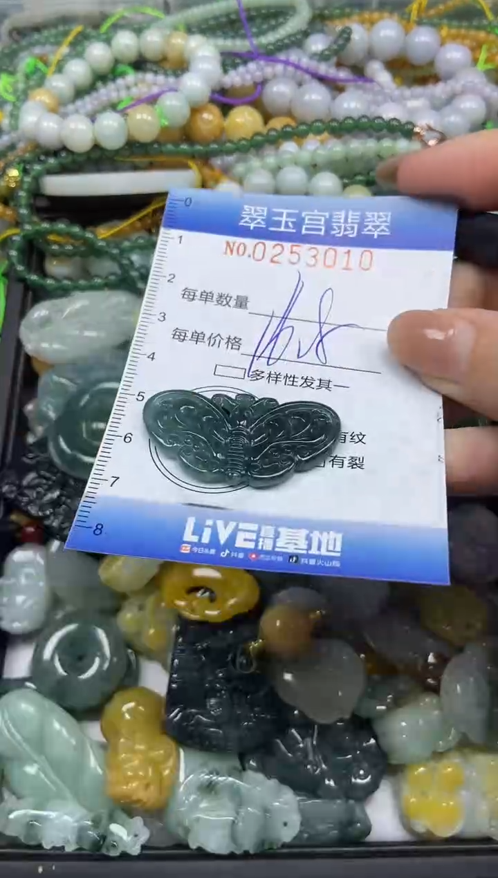 颈饰未镶嵌翡翠闪购C0253010