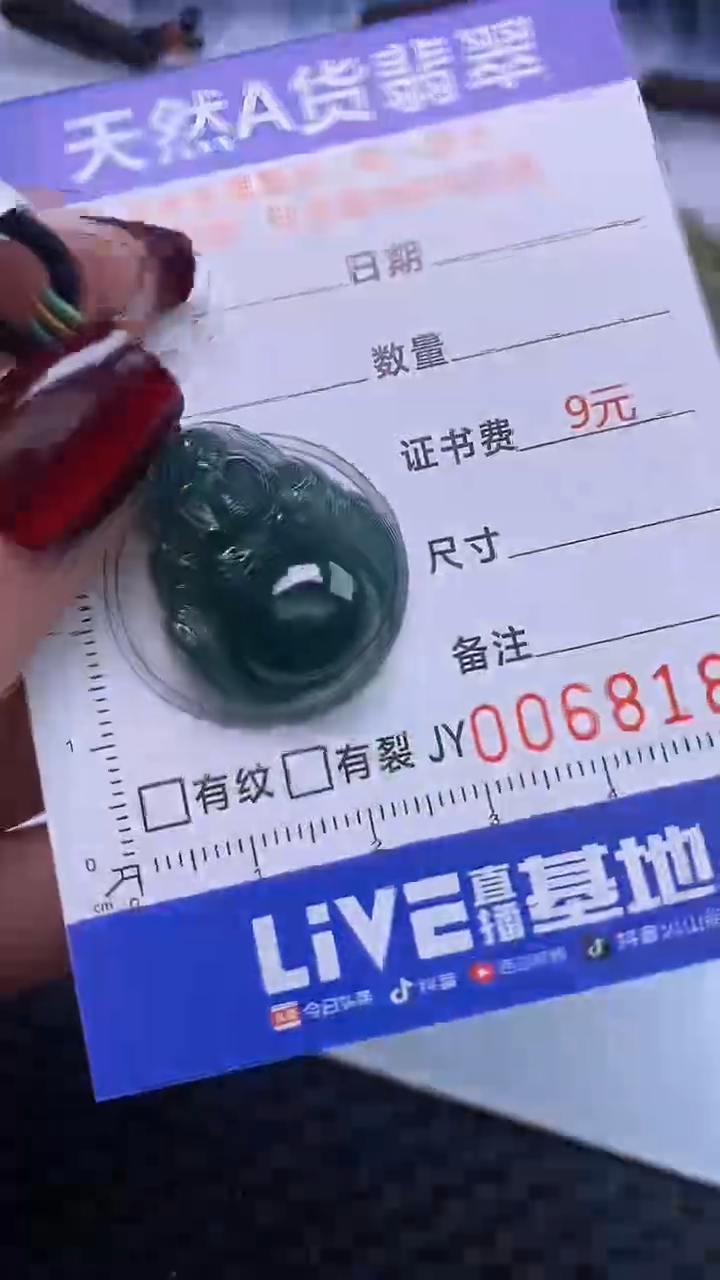 【闪购商品】翡翠颈饰未镶嵌A货翡翠8187
