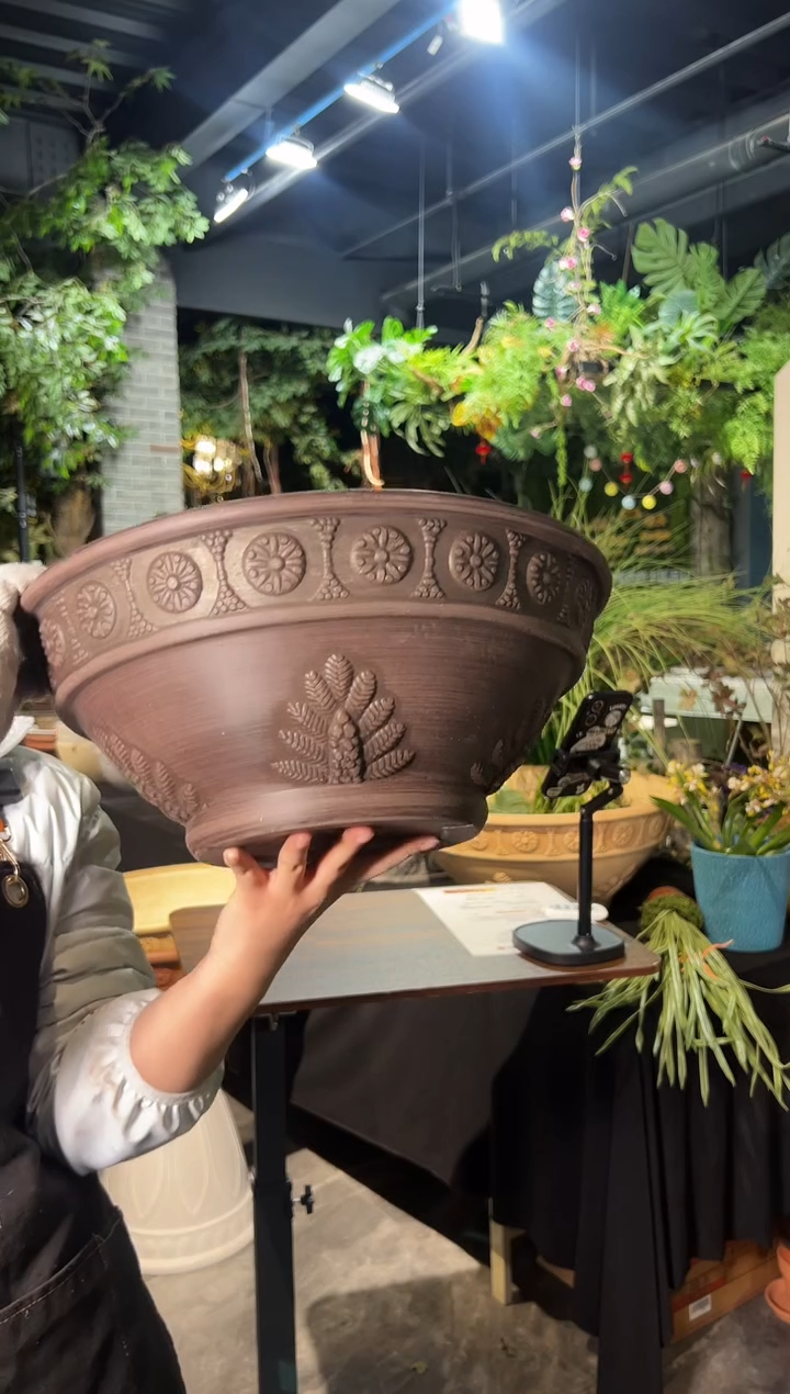 38*16/09G38巧克力色小口径碗莲盆