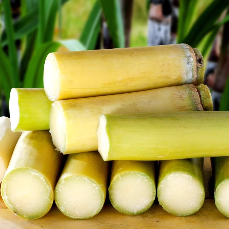 大降价】正宗云南黄金脆皮甘蔗清甜新鲜整根黄皮易去皮产地直发9斤