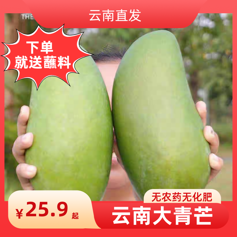 云南大青芒 青芒果 当季新鲜现摘现发 5斤/10斤