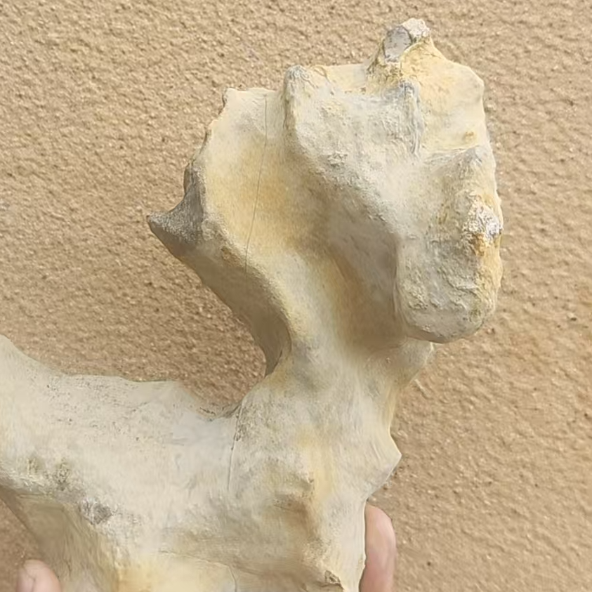 精品灵璧石摆件,毛石,象形石,假山石,厅堂石,,一物一拍,不包邮
