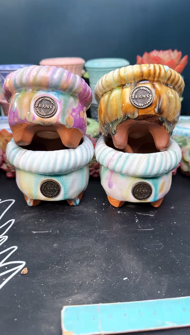 2  803景天盆 4个 默认微瑕