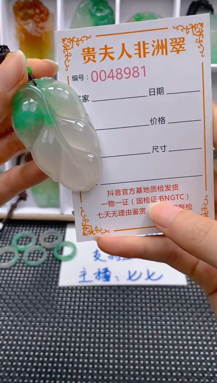 石英质玉未镶嵌颈饰981