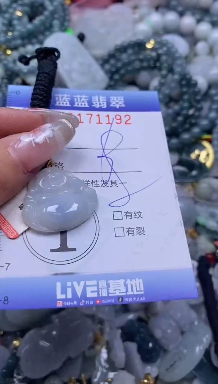 【闪购商品】翡翠颈饰未镶嵌闪购0171192