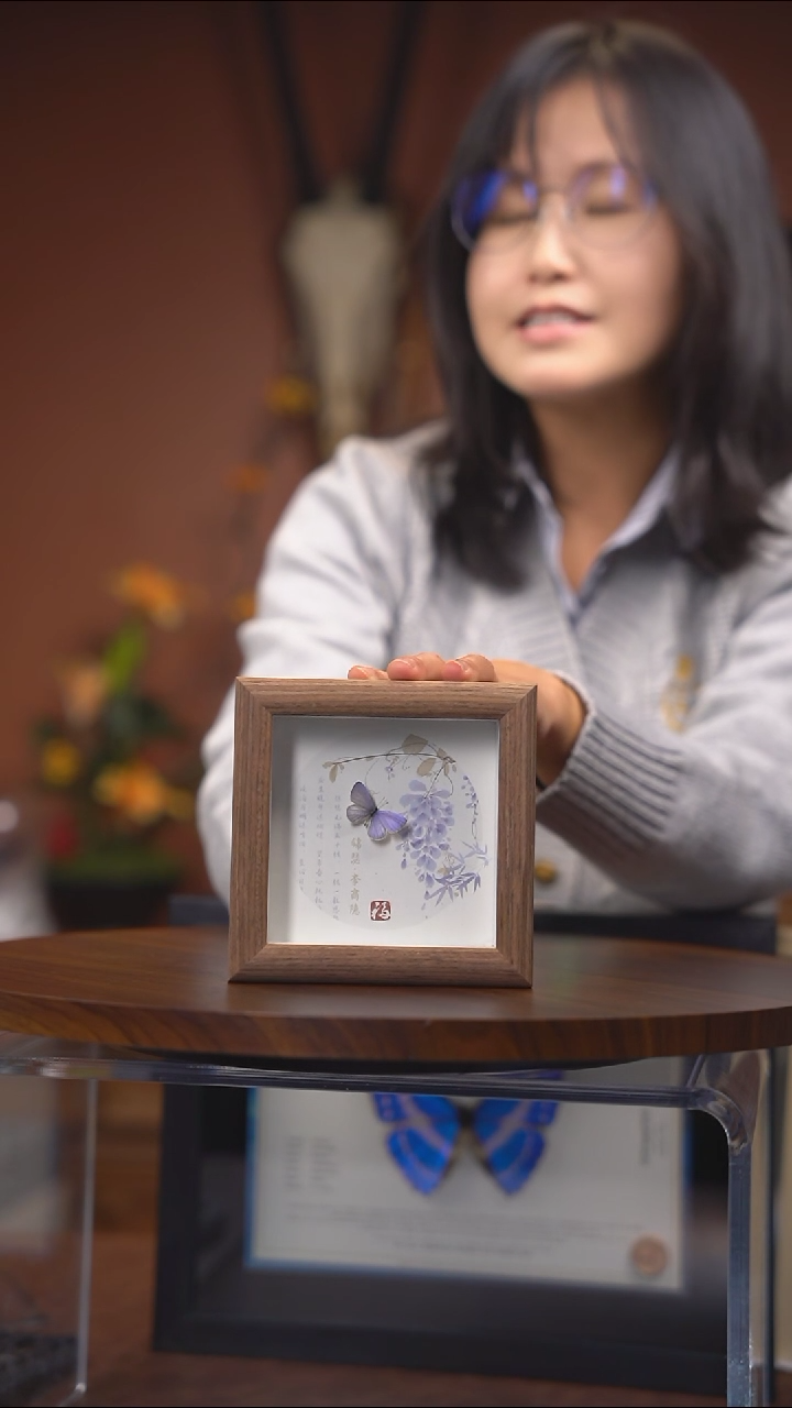 小灰蝶 4寸方框 常规