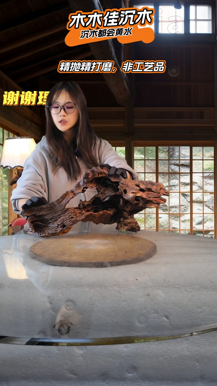 二*木木佳沉木鱼缸造景-583