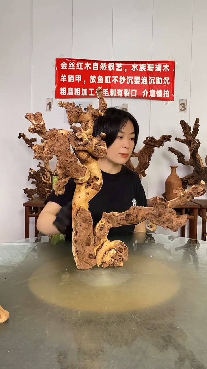 香榧木杨**雕金丝红木   羊蹄甲