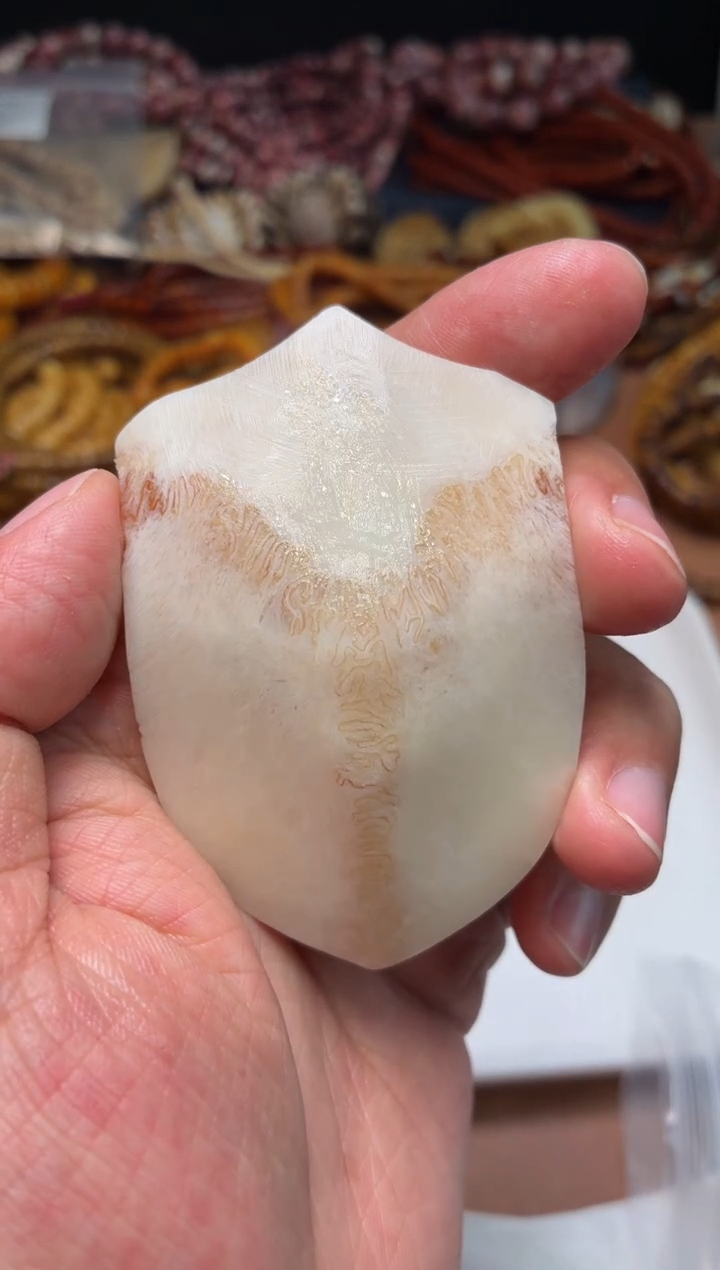 鹿骨其他母鹿三界A35