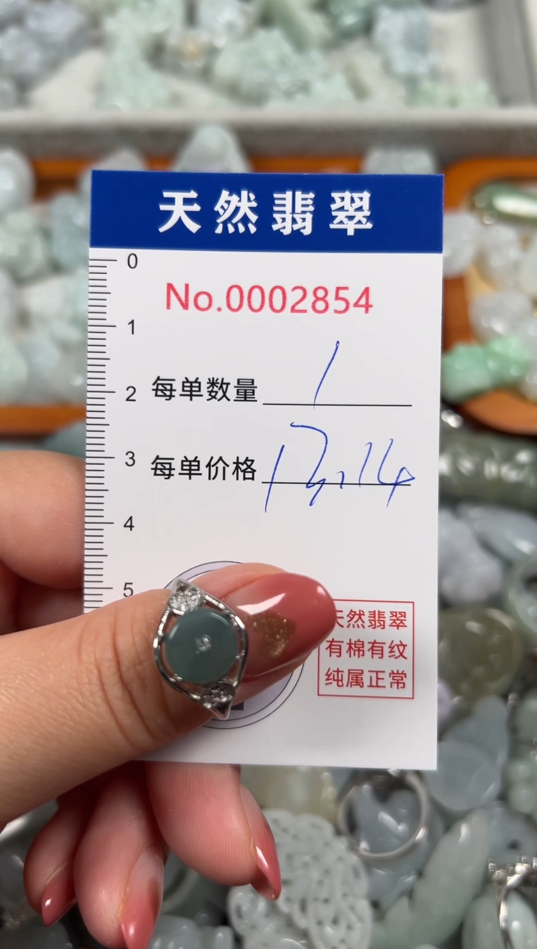 翡翠未镶嵌吊坠(不含链)2854