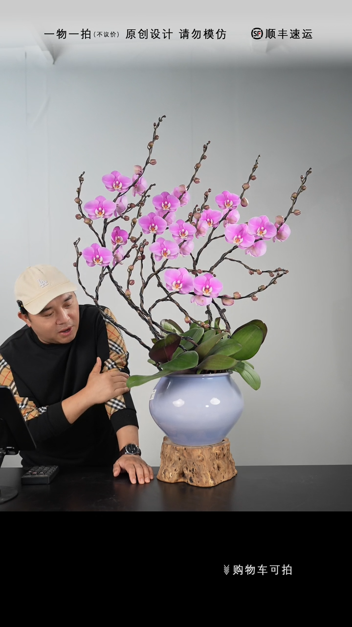 【闪购商品】045号链接【一物一拍】艺术盆景