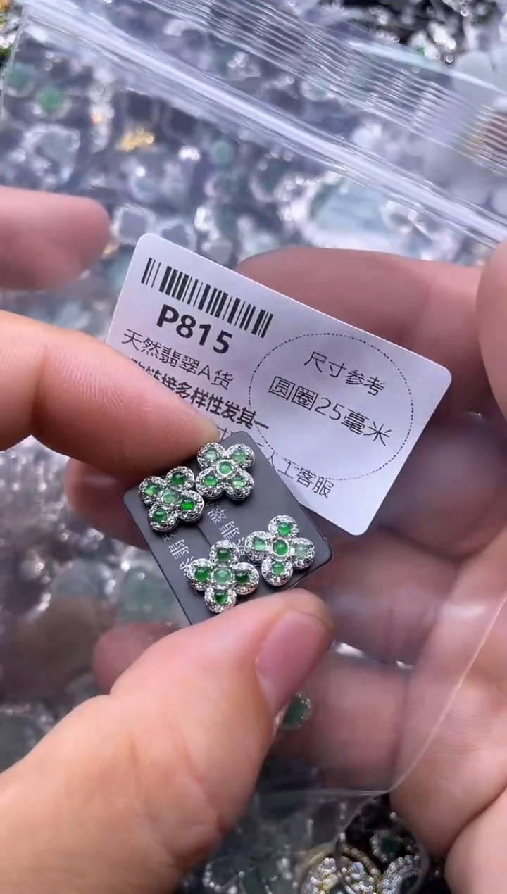 【闪购商品】翡翠颈饰未镶嵌P815耳钉 多样性发其一