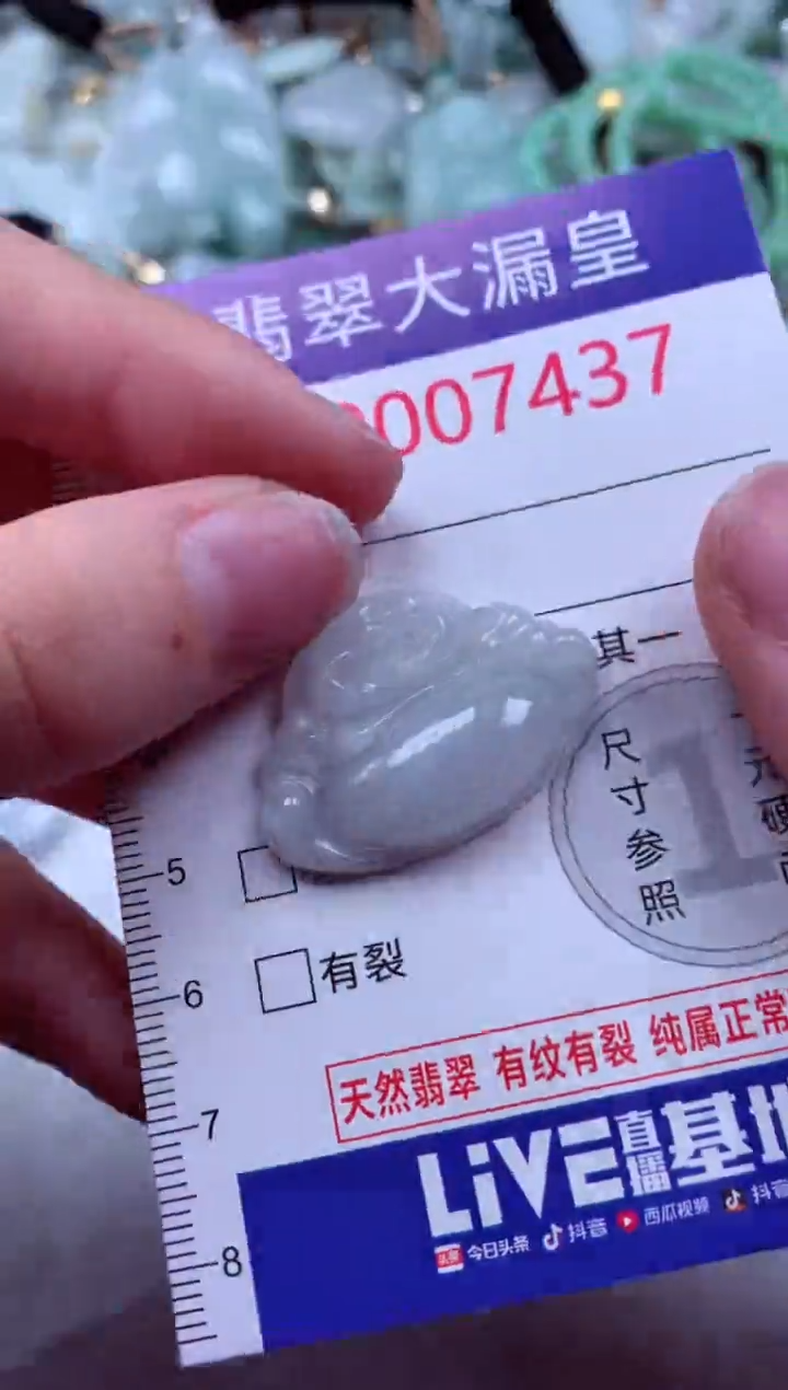 吊坠(不含链)未镶嵌翡翠7437