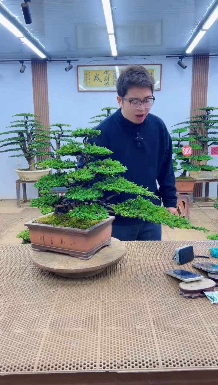 无花朵000000000000