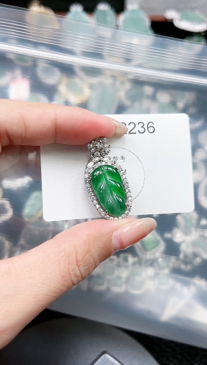 【闪购商品】翡翠颈饰未镶嵌赠皮绳2236