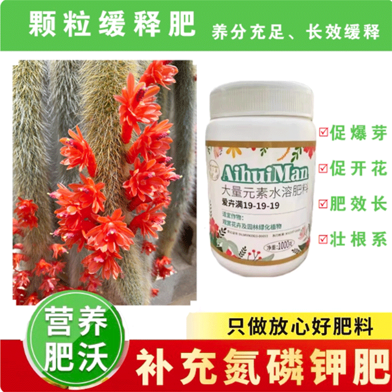 智利进口缓释肥适用家庭园艺绿植花卉通用肥多肉厚叶（19-19-19）