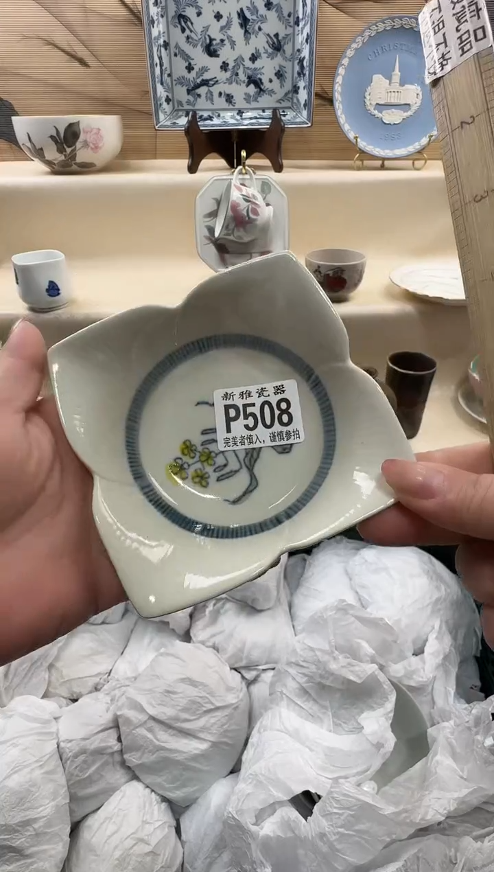 瓷片学***化          P508