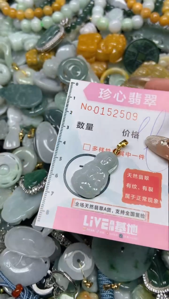 【闪购商品】翡翠颈饰未镶嵌闪购0152509