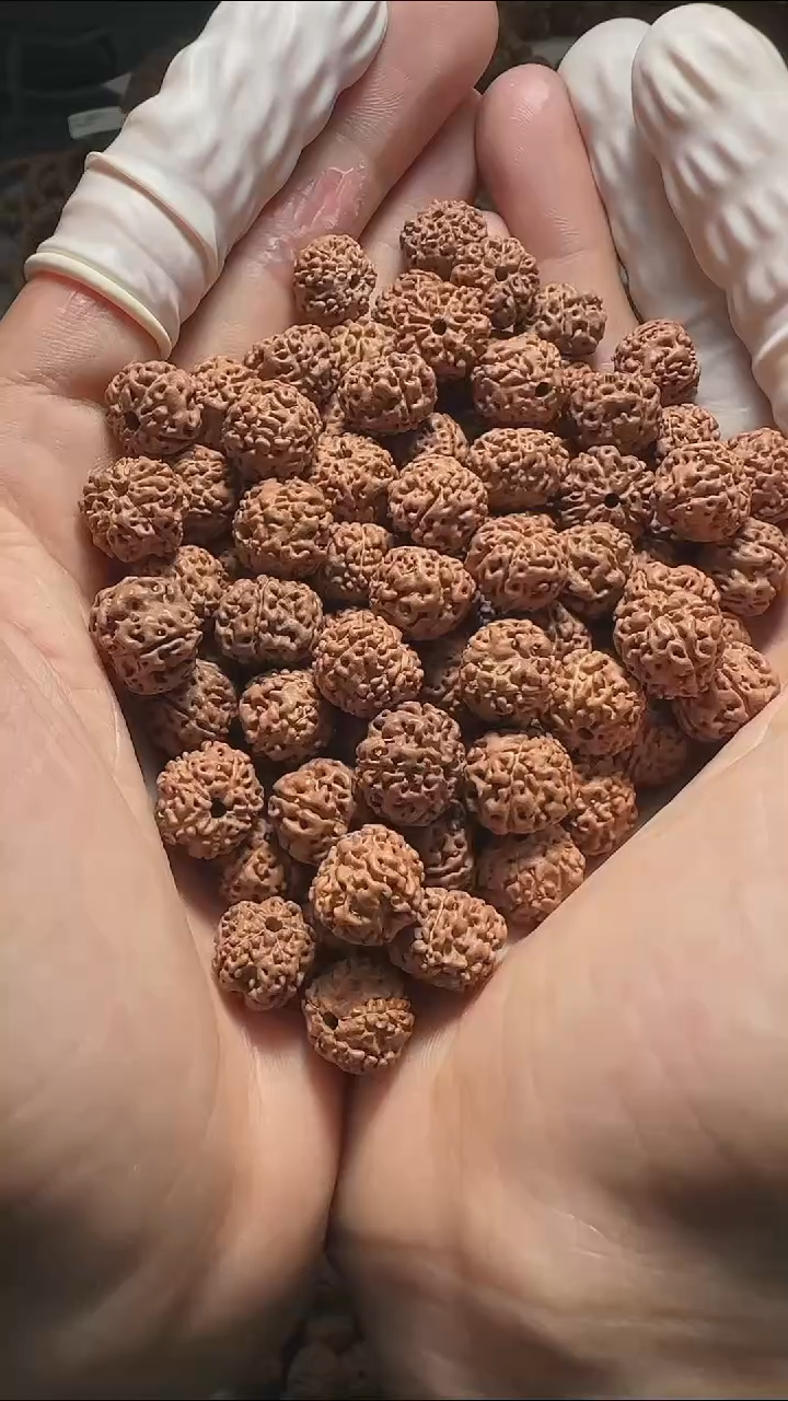 金刚菩提手串平细散籽 12mm 一份五十颗+