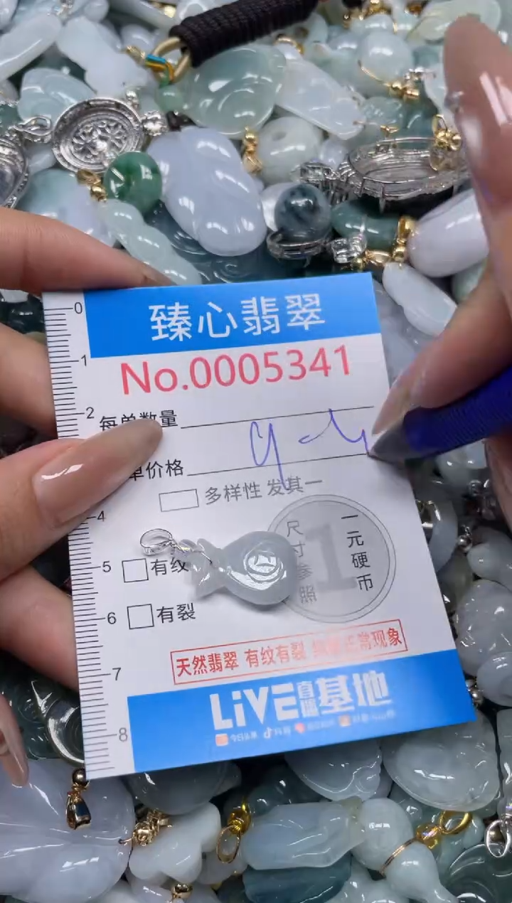颈饰未镶嵌翡翠5341