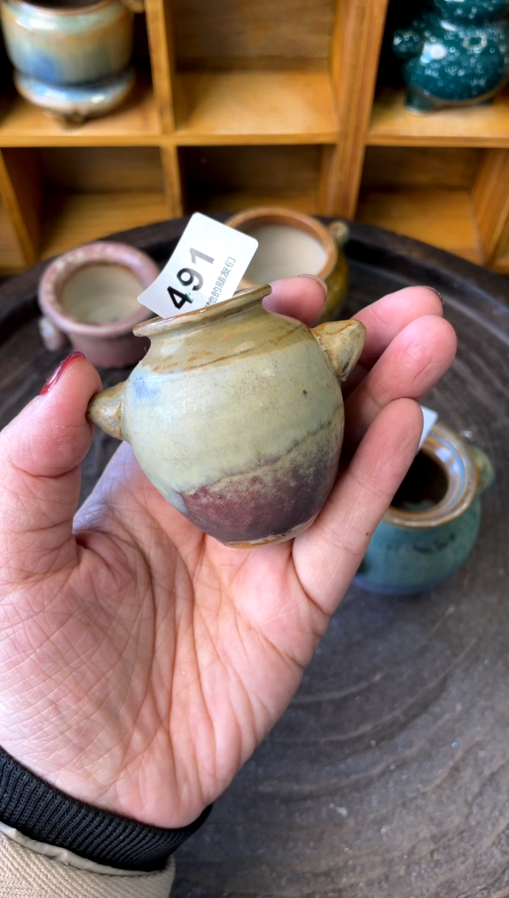 【闪购商品】陶491