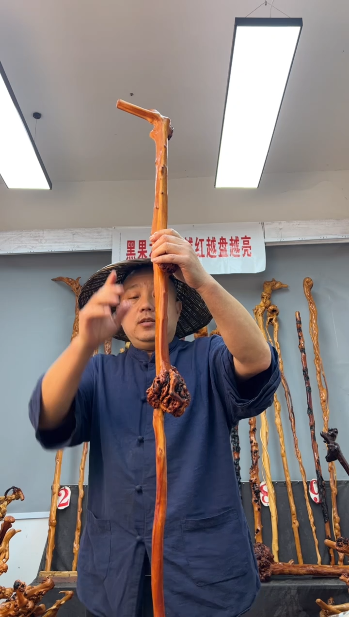 【闪购商品】黑果木其他黑果木599