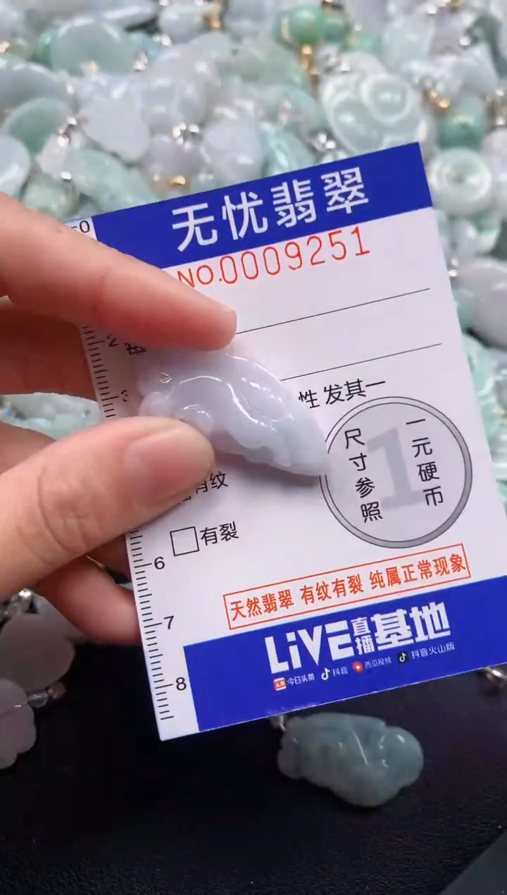 颈饰未镶嵌翡翠9251