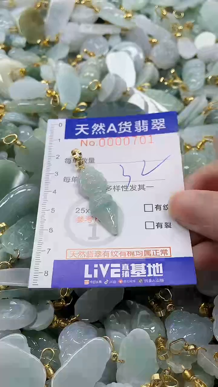 颈饰未镶嵌翡翠纯天然a货翡翠