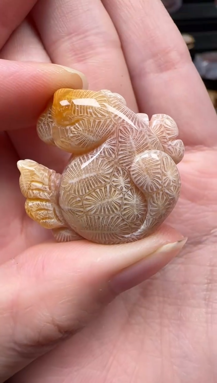 颈饰未镶嵌硅化珊瑚（珊瑚玉）356