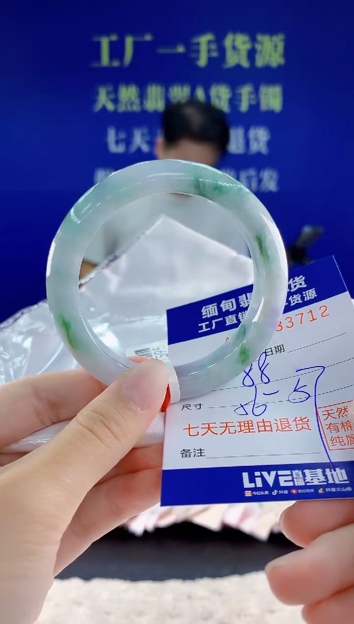 未镶嵌手镯翡翠12