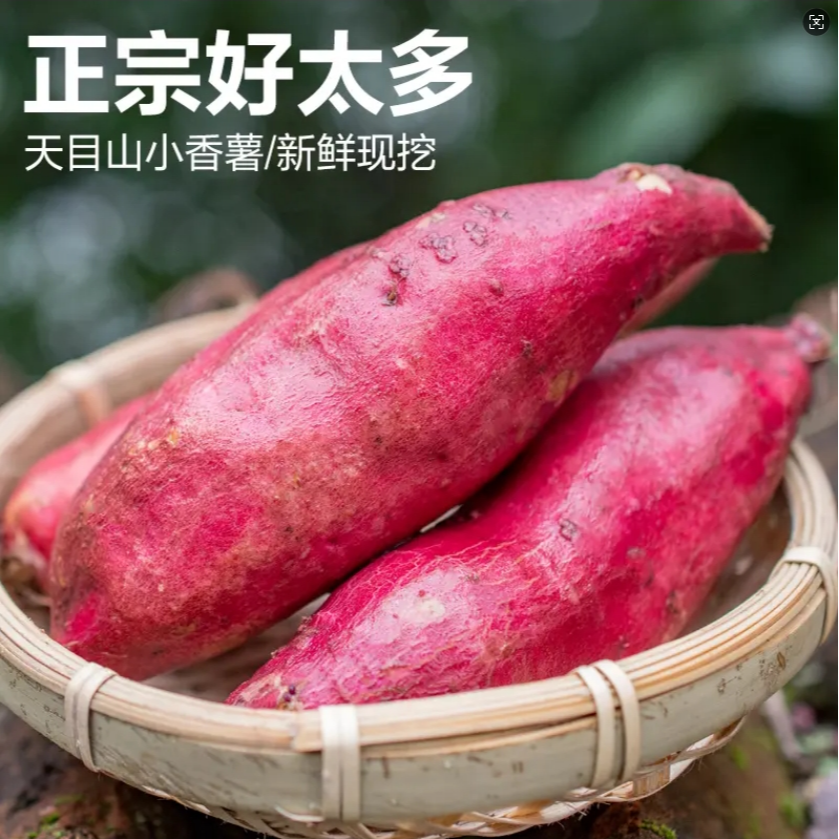 J临安天目山小香薯5斤装新鲜农产品板栗红薯蜜薯软糯香甜地瓜番薯
