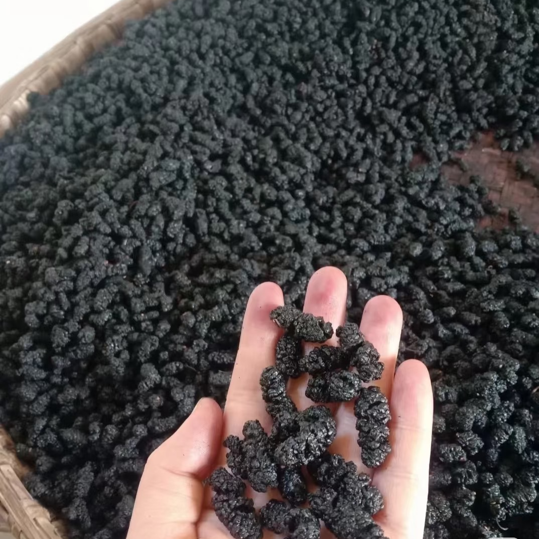 老乡自晒桑葚干生吃泡水煮粥软糯香甜可当休闲零食
