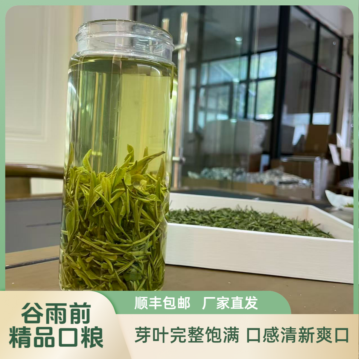 留顿A24-谷雨前高山老本茶岳西翠兰醇香爽口一芽二叶-340