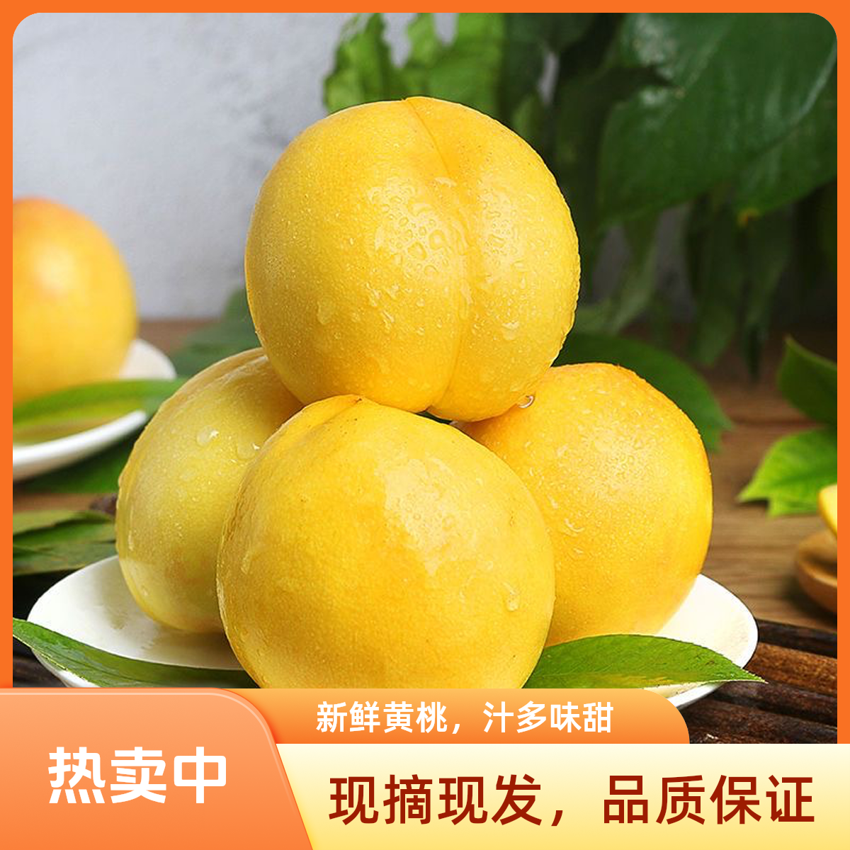 【SF/JD包邮】黄油桃 山东蒙阴蜜桃 黄肉油桃 坏果包赔 现摘现发