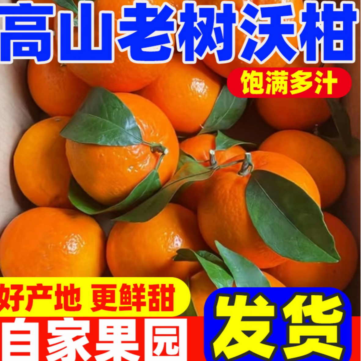 5斤大果云南沃柑当季新鲜水果皮薄多汁香甜整箱包邮