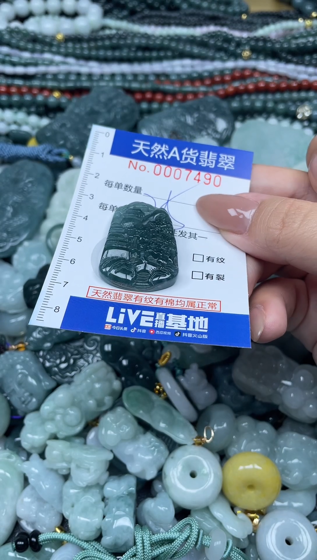 颈饰未镶嵌翡翠天然A货 支持复检