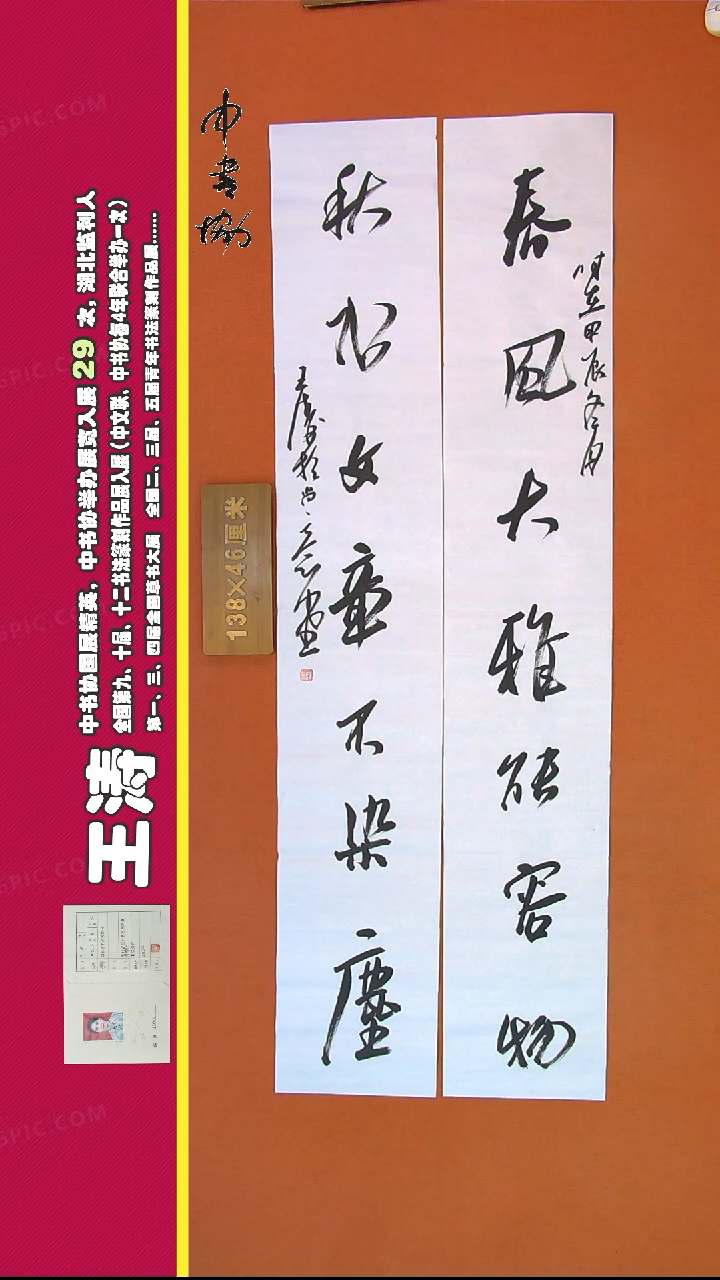 【闪购商品】书法135王涛书法作品1